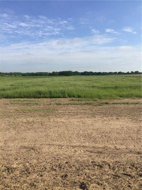 Campbell, TX 75422,Lot 4 CR 4120