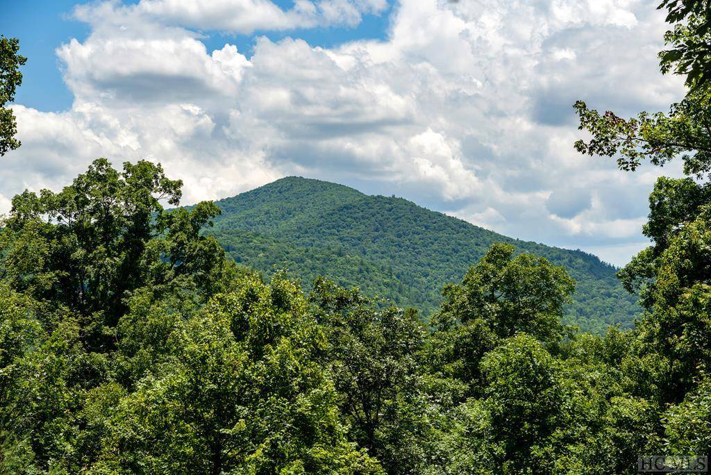 Cashiers, NC 28717,Lot 2 Gorge Trail Road