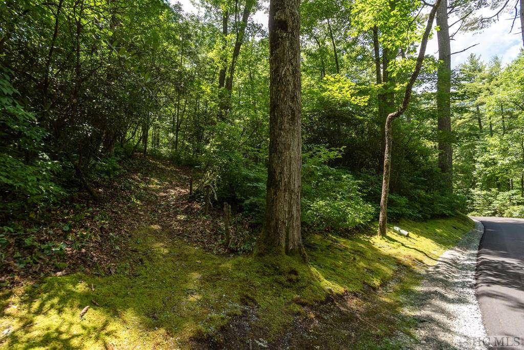 Cashiers, NC 28717,Lot 2 Gorge Trail Road