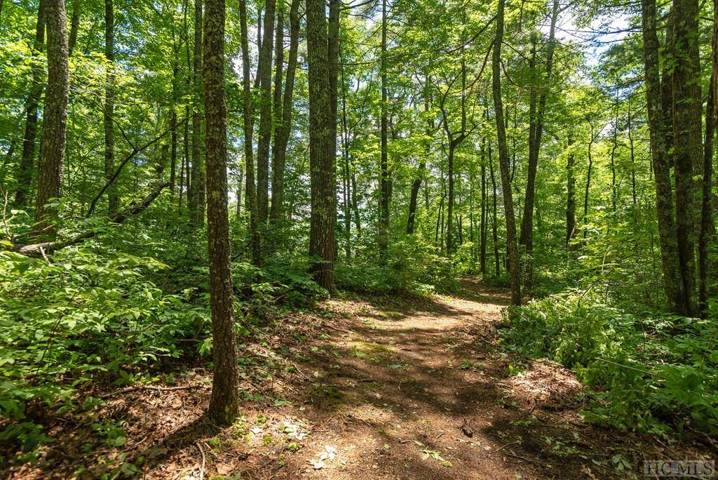 Cashiers, NC 28717,Lot 2 Gorge Trail Road