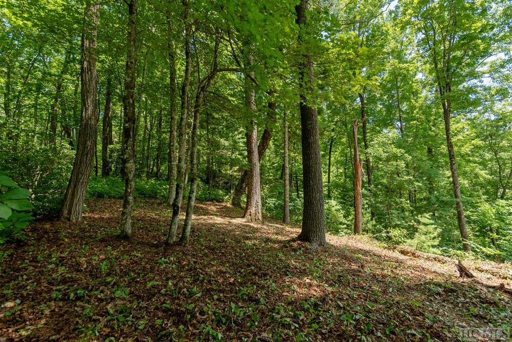 Cashiers, NC 28717,Lot 2 Gorge Trail Road