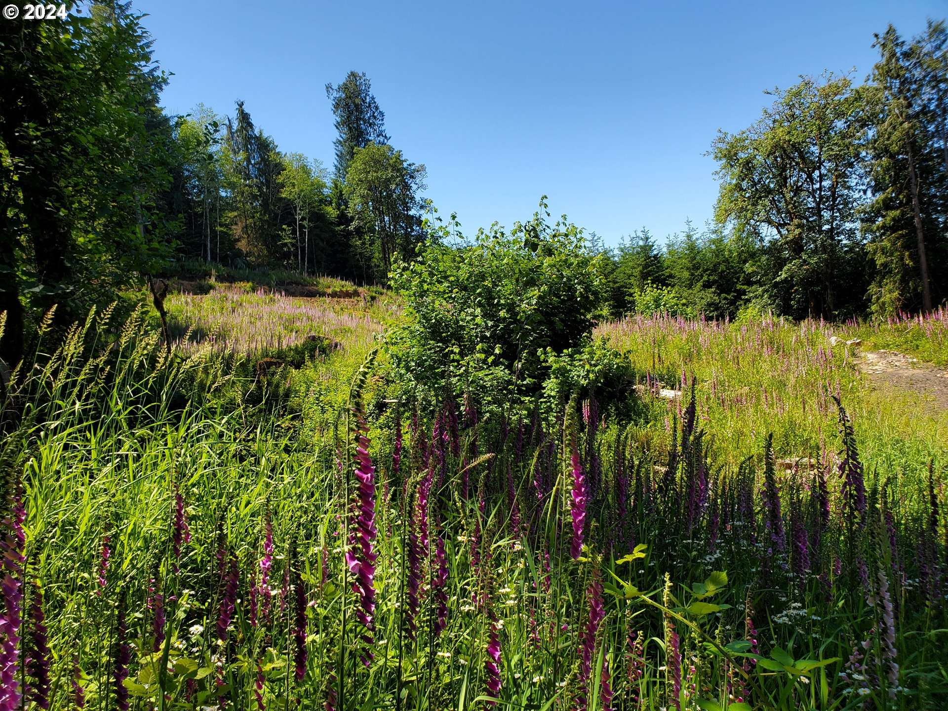 Clatskanie, OR 97016,Stewart Creek RD