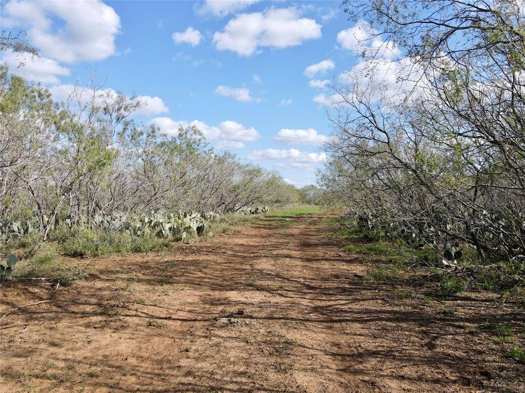 Nixon, TX 78140,219 S State Highway 80 Avenue