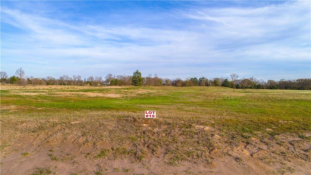 Wills Point, TX 75169,Lot 19 PR 7001