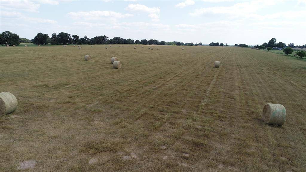 Palestine, TX 75801,TBD An County Rd 429