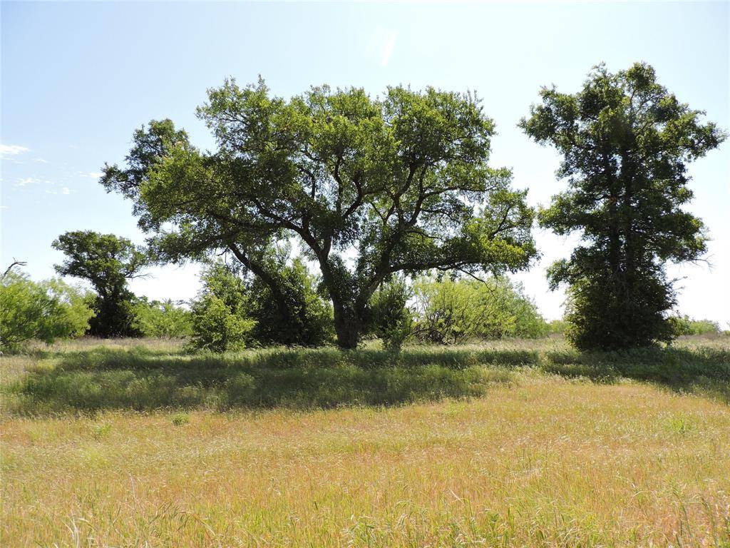 Graford, TX 76449,Lot 47 Canyon Wren S