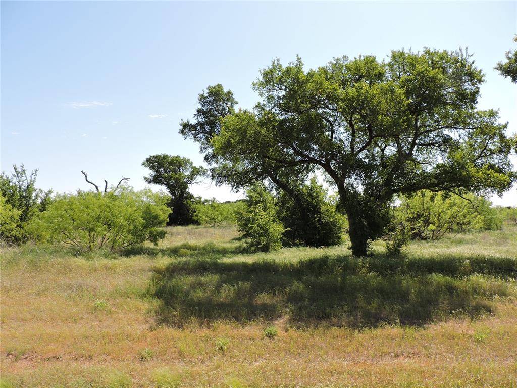 Graford, TX 76449,Lot 47 Canyon Wren S