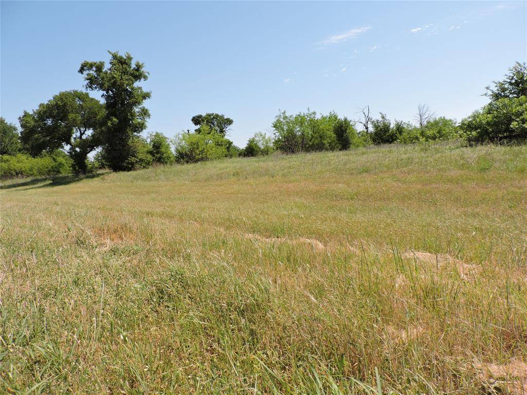 Graford, TX 76449,Lot 47 Canyon Wren S