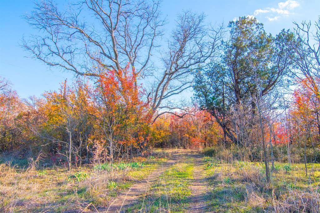 Gorman, TX 76444,TBD County Rd 170