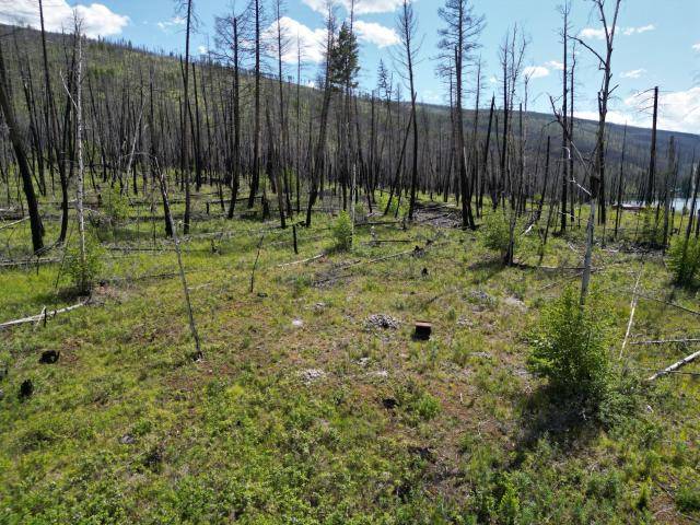DL 8148 LOON LAKE RD, Loon Lake, BC