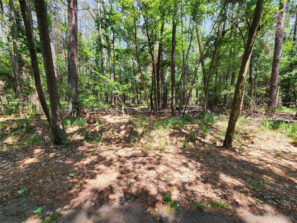 Mount Vernon, TX 75457,Lot 37 Whipporwill Lane