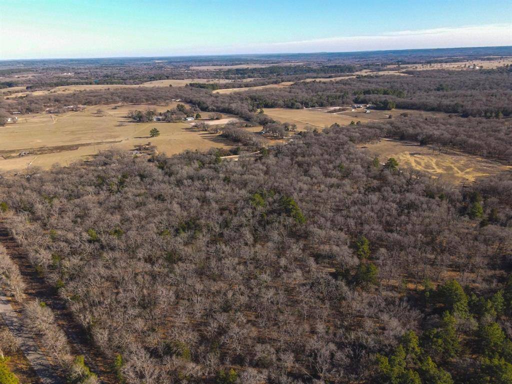 Larue, TX 75803,000 (W) CR 4528