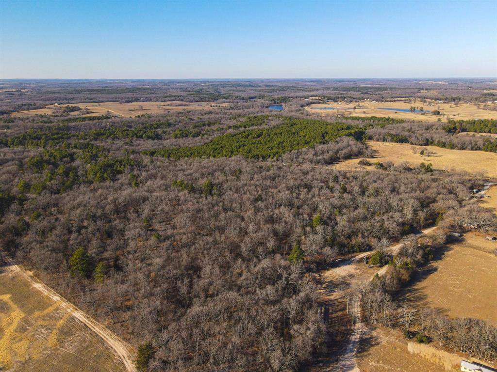 Larue, TX 75803,000 (W) CR 4528