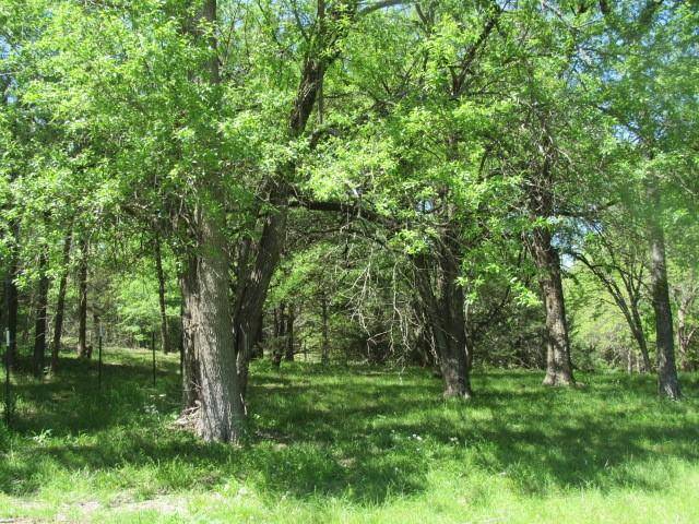 Denison, TX 75020,3 Lot Ash Drive