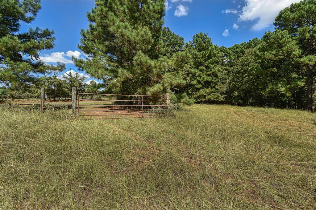 Montalba, TX 75853,Lot 14 ACR 453