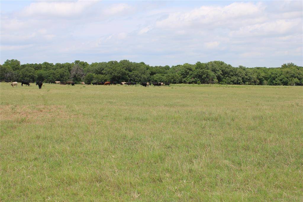 Sidney, TX 76474,tbd C.R. 181, south