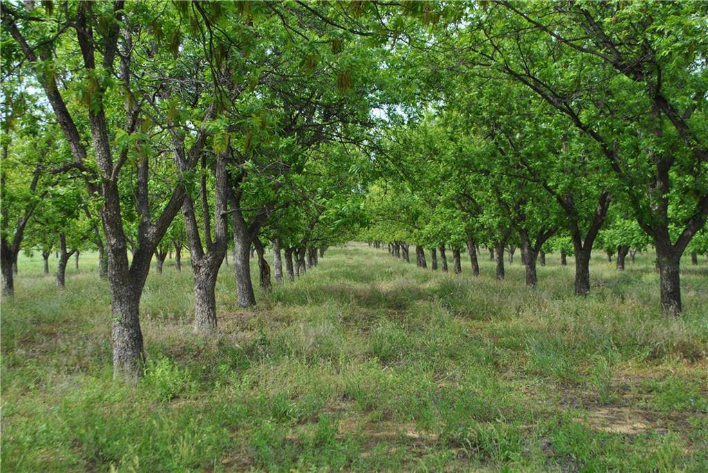 Comanche, TX 76442,TBD County Rd 446