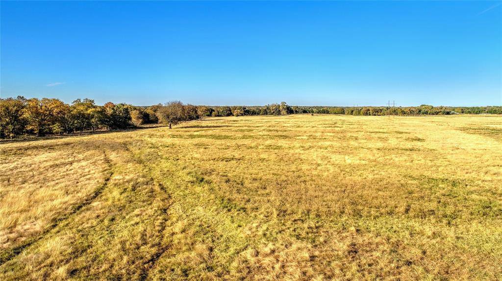 Sadler, TX 76264,19+ AC Brooks Lane