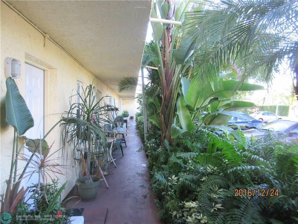 Wilton Manors, FL 33305,900 NE 26TH ST  #3