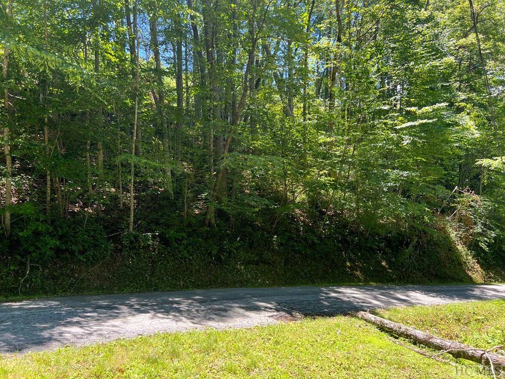 Glenville, NC 28736,Lot 5 Parachute Ridge