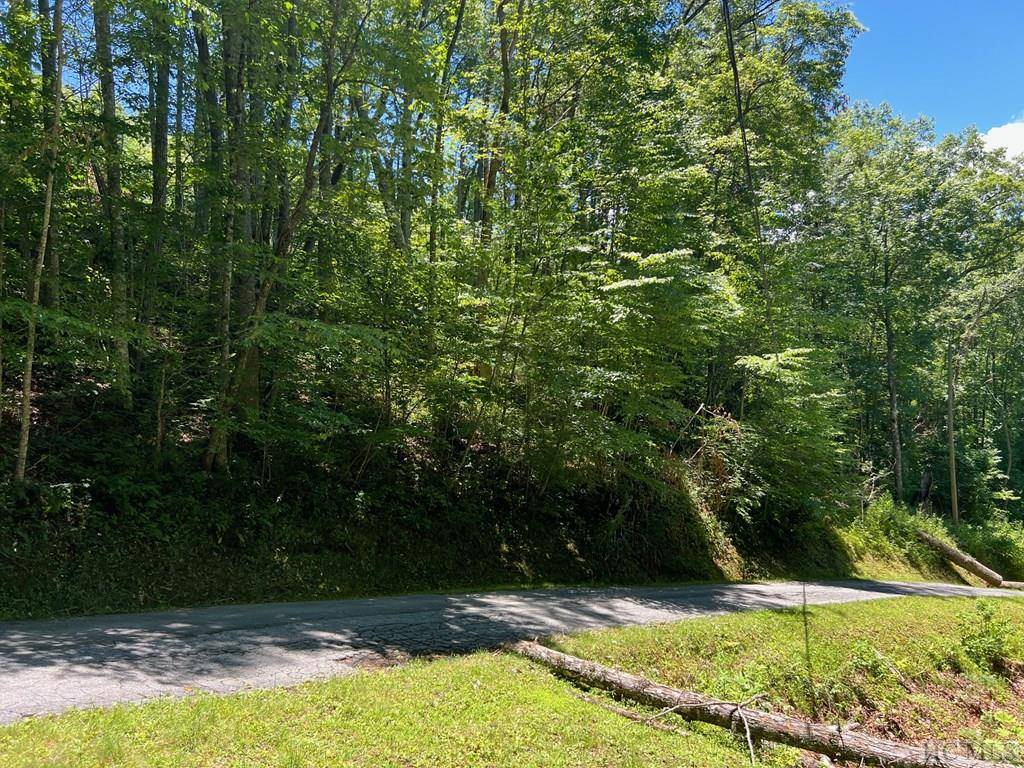 Glenville, NC 28736,Lot 5 Parachute Ridge