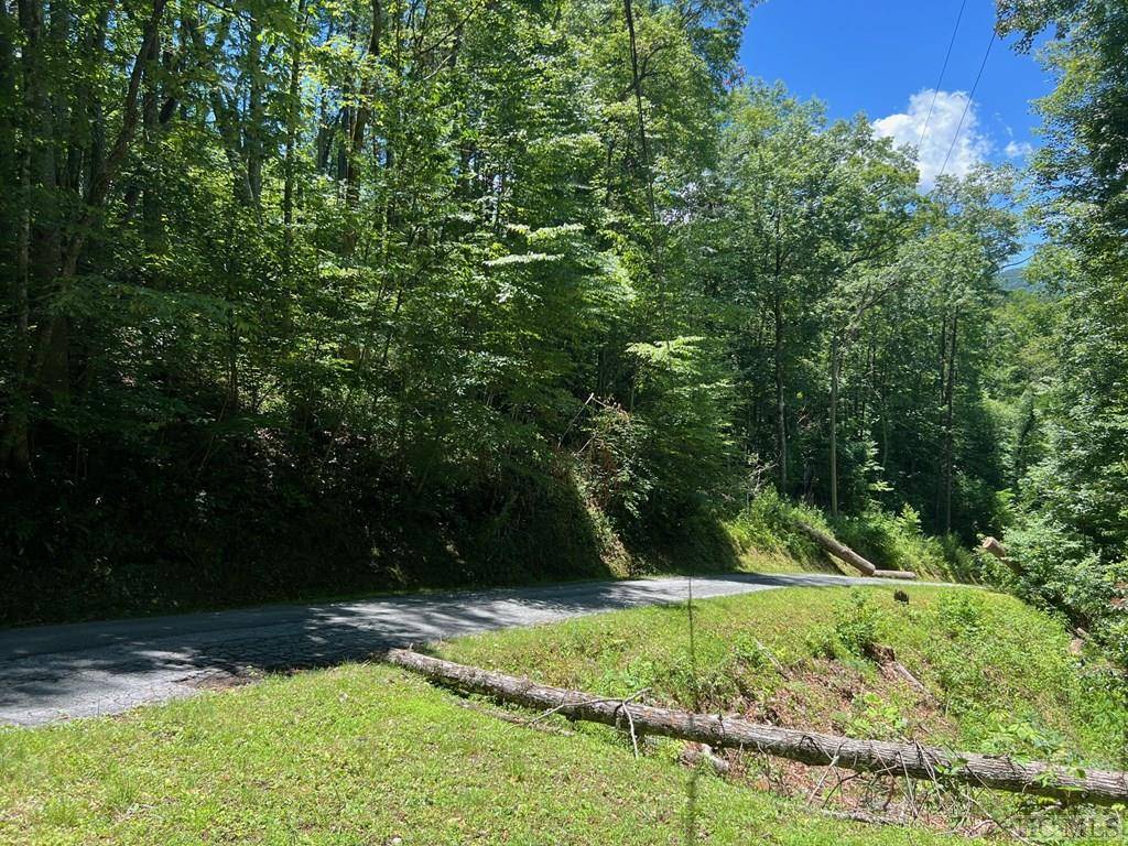 Glenville, NC 28736,Lot 5 Parachute Ridge