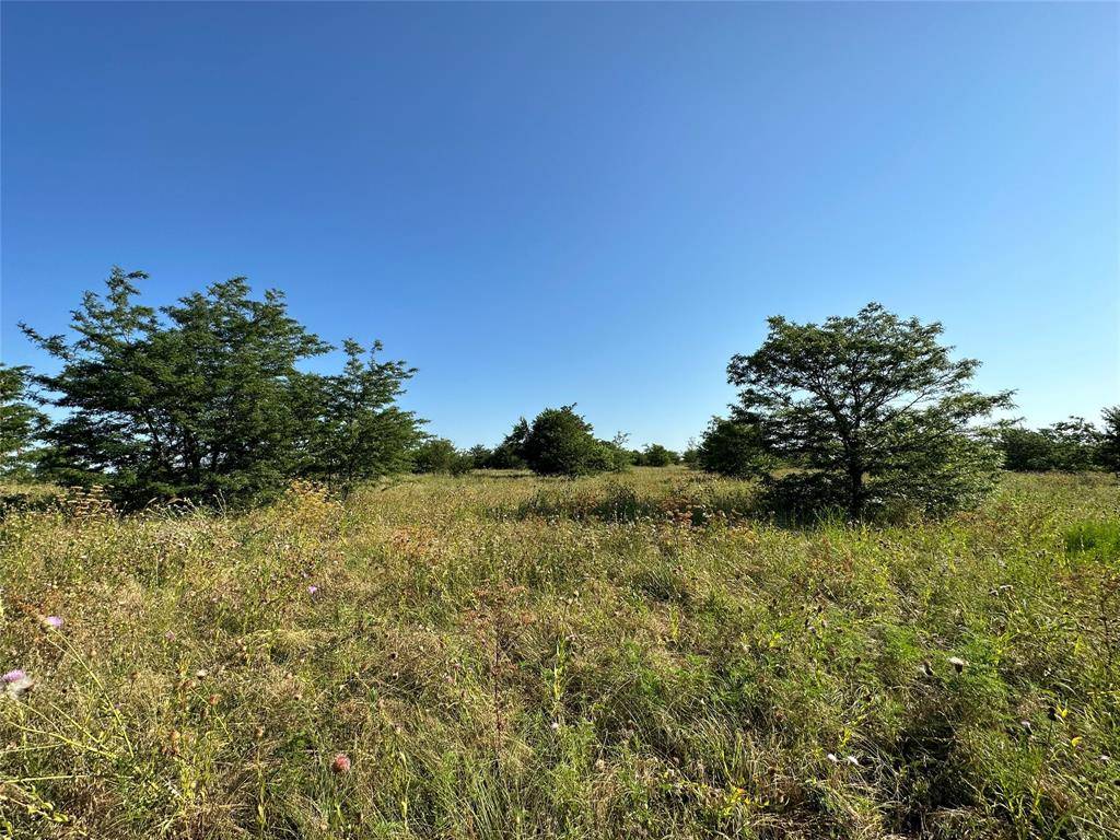 Gainesville, TX 76240,Lot 28 PR 4000