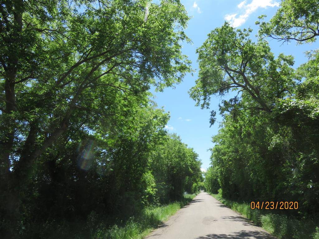 Campbell, TX 75422,Lot 3 County Rd 4109