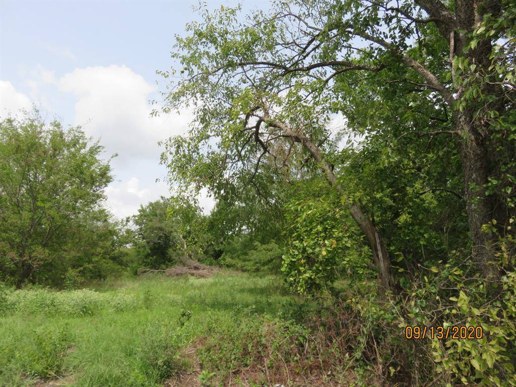 Campbell, TX 75422,Lot 6 County Rd 4110