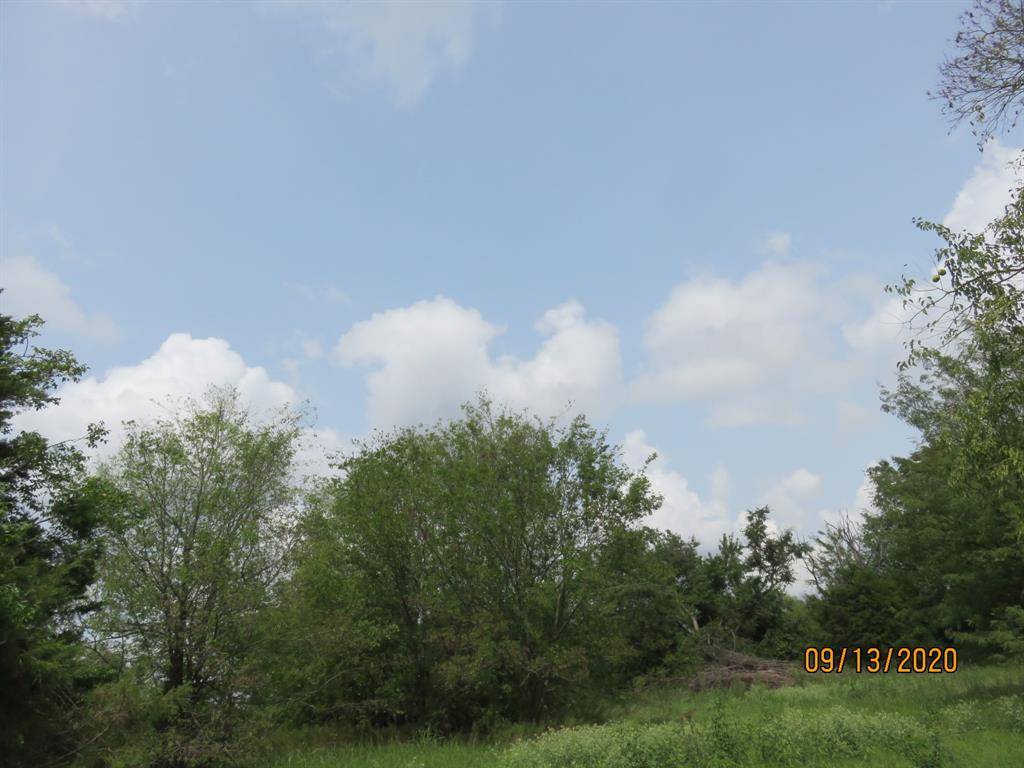 Campbell, TX 75422,Lot 6 County Rd 4110