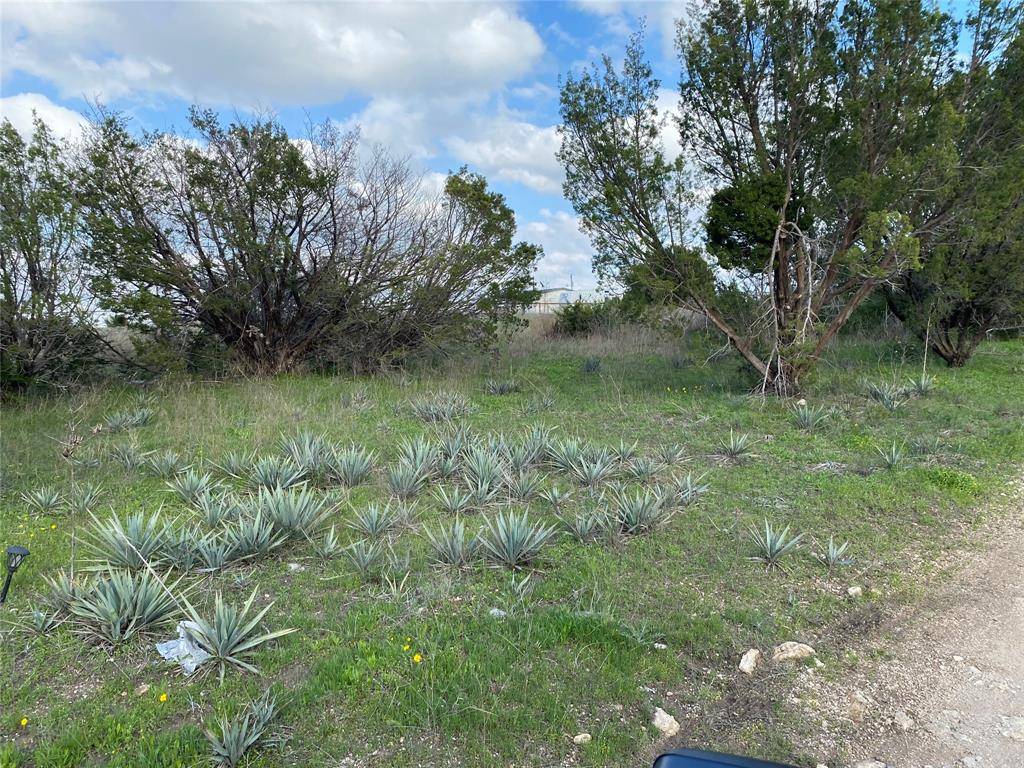 Stephenville, TX 76401,TBD County Road 233