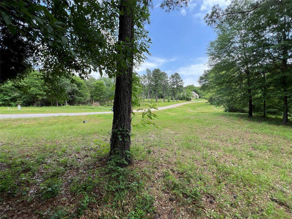 Athens, TX 75752,Lot 335 Grand View Drive