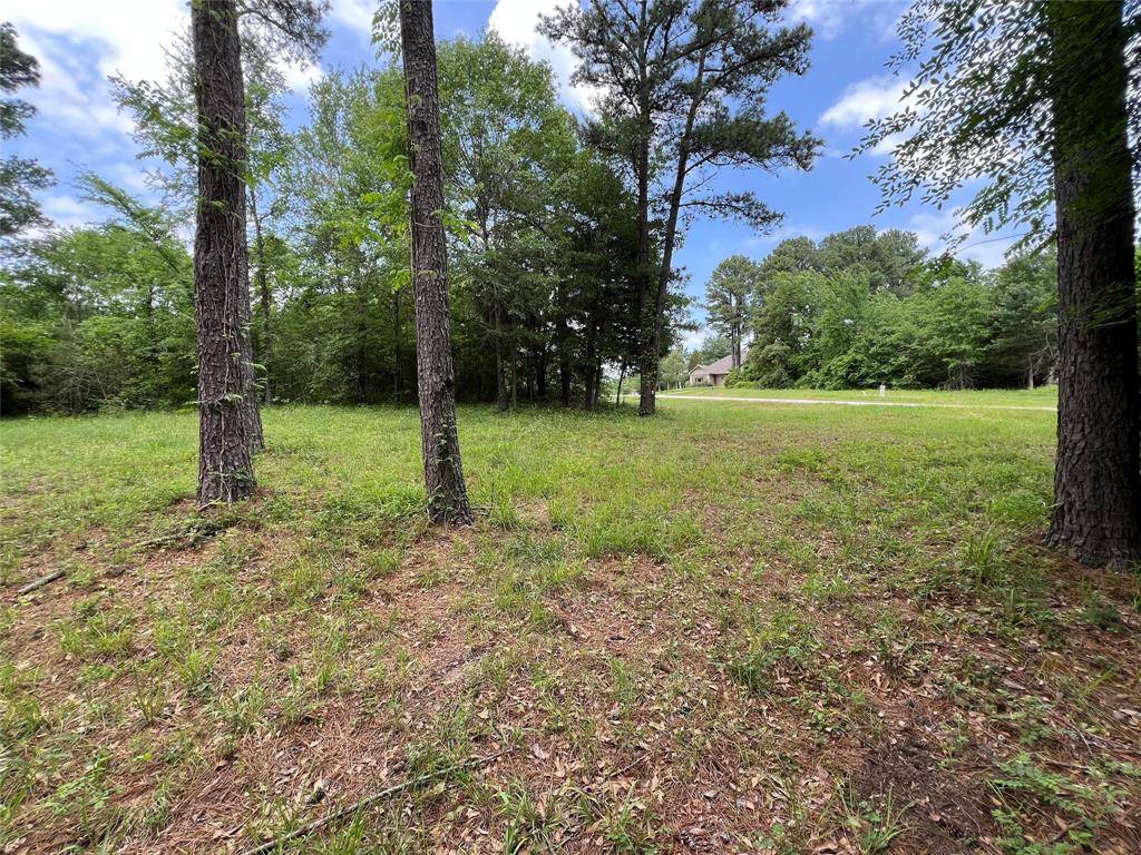 Athens, TX 75752,Lot 335 Grand View Drive