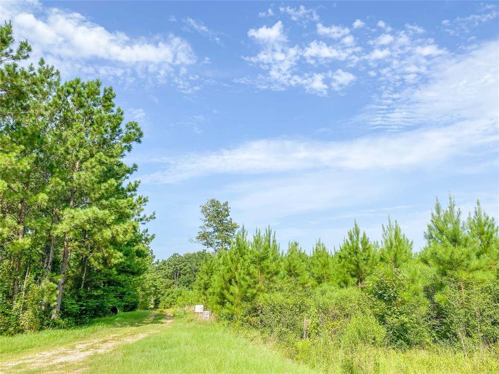 Livingston, TX 77351,0000 Jimbo Nettles Rd