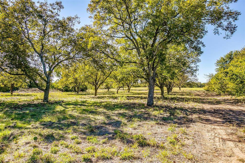 Ranger, TX 76470,TBD Loop 254