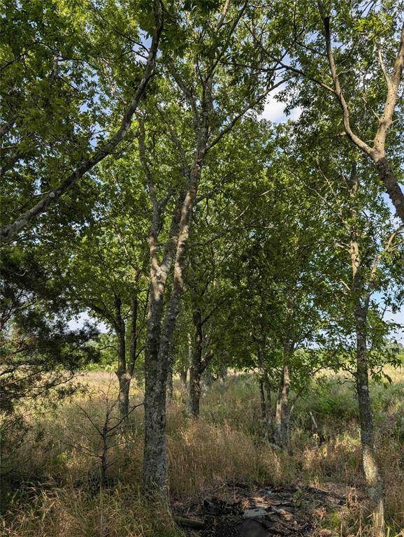 Pecan Gap, TX 75469,LOT 77 FM 904 S ES