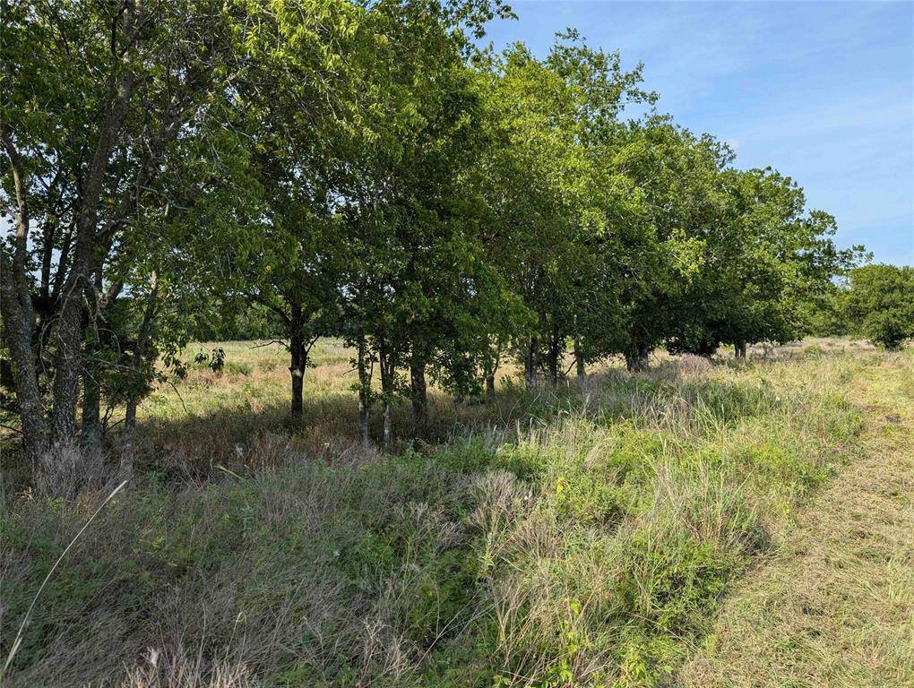 Pecan Gap, TX 75469,LOT 77 FM 904 S ES