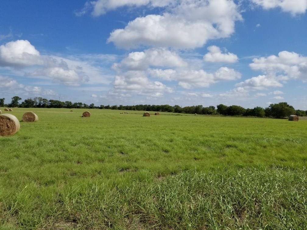 Whitewright, TX 75491,TBD2 Rose Hill Road