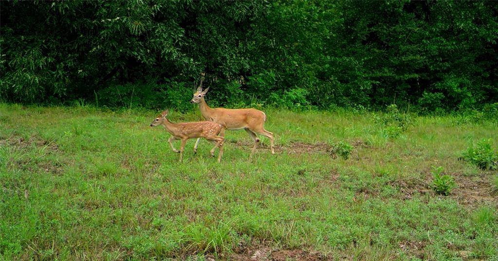 Arthur City, TX 75411,000 Hideaway Road