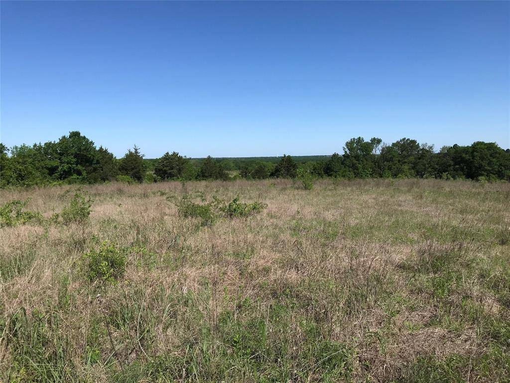 Bonham, TX 75418,TBD FM 271