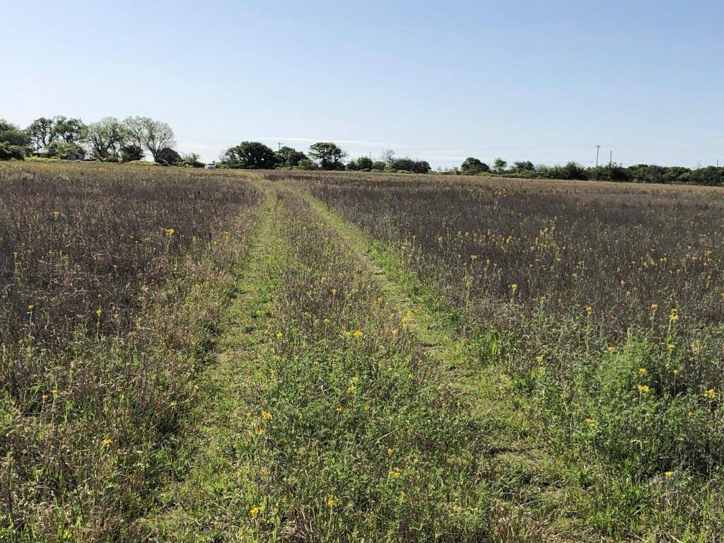 Rising Star, TX 76471,TBD Hwy 36