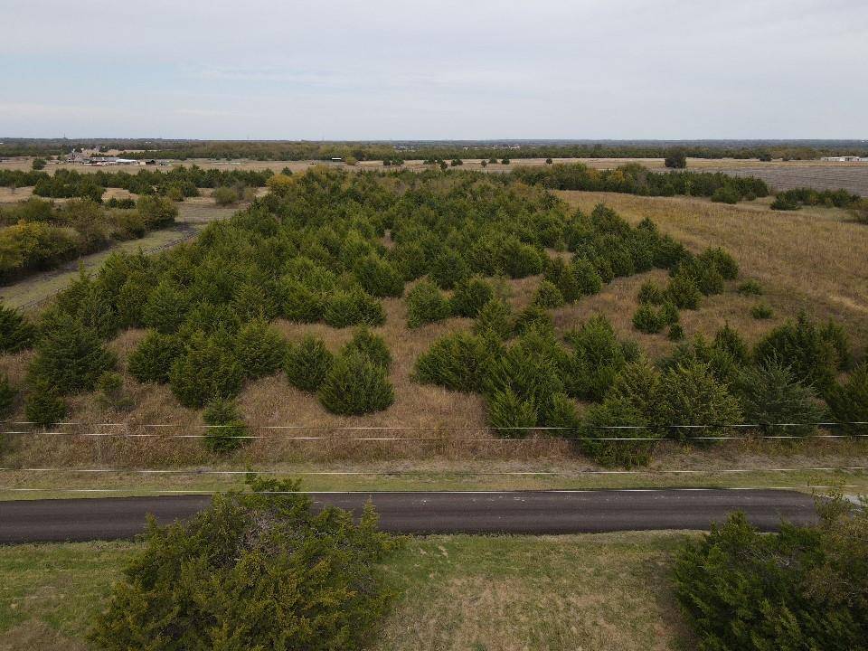 Greenville, TX 75401,10.0 ac County Rd 1070