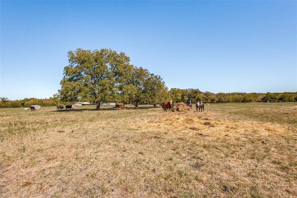 Farmersville, TX 75442,138 acres County Road 1124