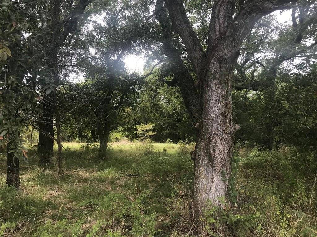 Savoy, TX 75479,000 #3 County Rd 4020