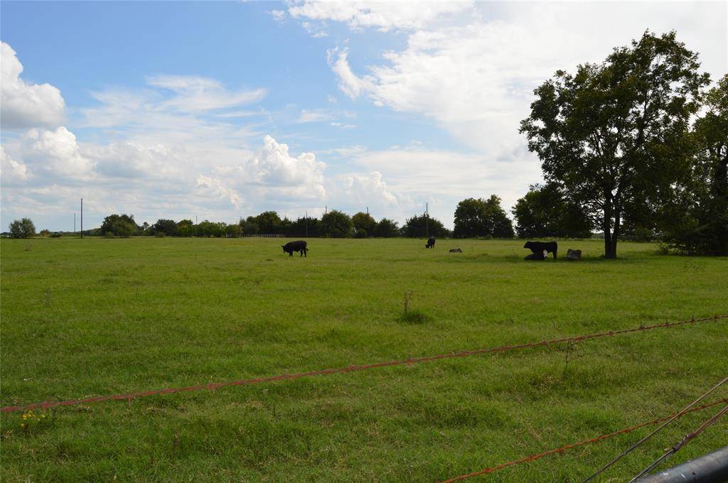 Terrell, TX 75161,TBD County Road 353