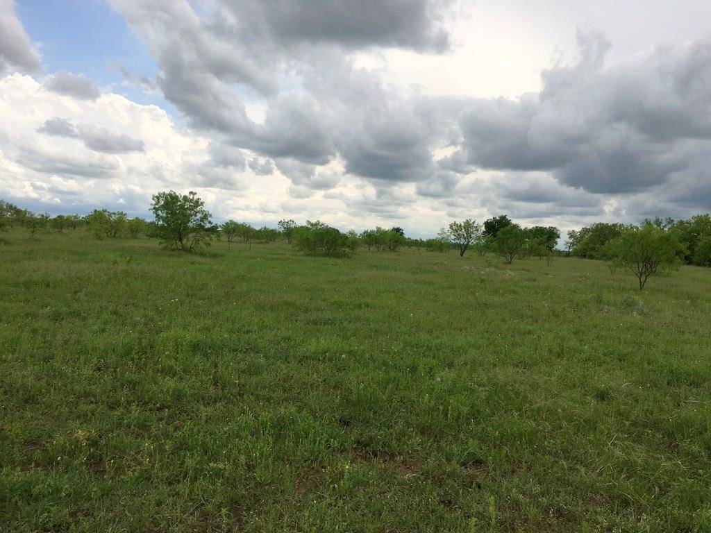 Cross Plains, TX 76443,TBD CR 443