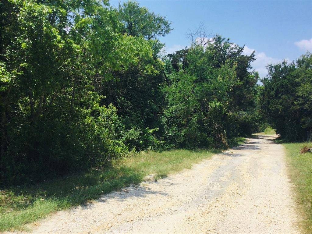 Whitney, TX 76692,000 Sunflower