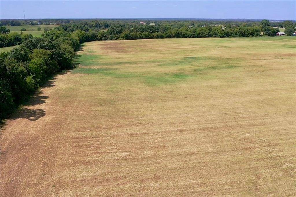 Grand Saline, TX 75127,TBD 003 County Rd 1110