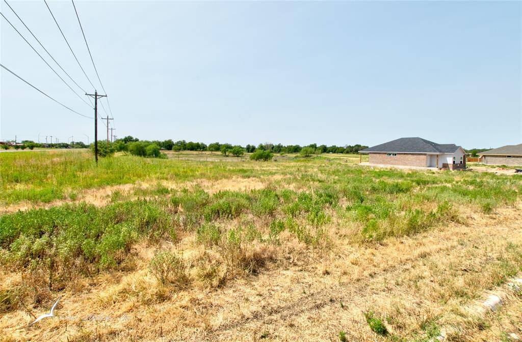 Clyde, TX 79510,Lots 1 & 2 Shallow Water Court