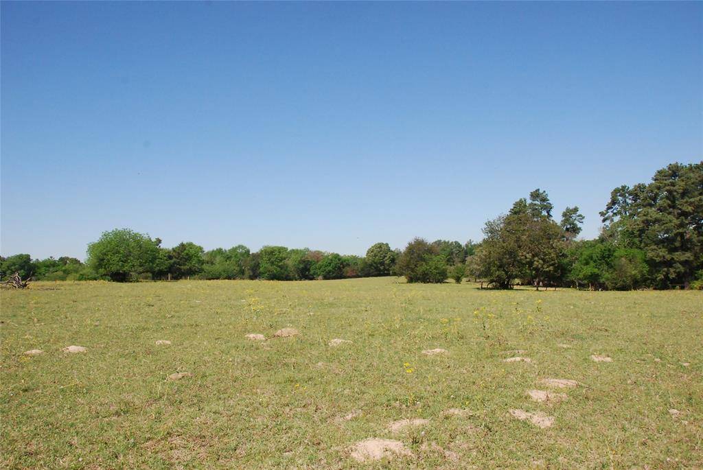 Lindale, TX 75771,15765 County Road 436